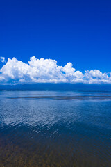 Obraz premium 琵琶湖畔夏景色