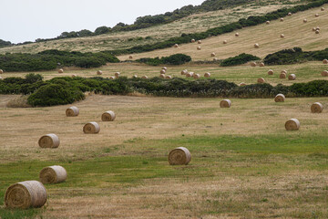 Sardaigne  centre culture
