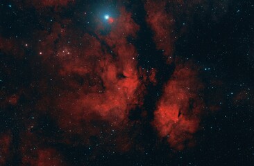 NGC 6910 im Schmetterlingsnebel