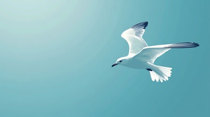 Obraz premium A single seagull in flight against a bright blue sky.