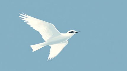 Fototapeta premium A white bird with black eyes and beak flying against a light blue sky.