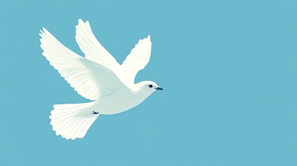 Fototapeta premium A white dove in flight against a blue sky.