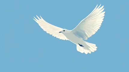Fototapeta premium A white dove flying in a clear blue sky.