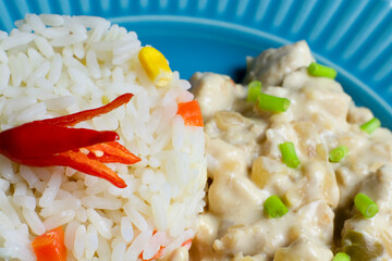 Colorful food with rice and white cream with tasty pieces, delicious homemade dish