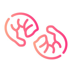 shrimps Line Gradient Icon