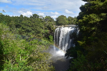 Fototapeta premium Beautiful waterfalls in the green forests at the Bay of Islands on the North island in New Zealand