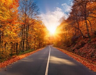 Fototapeta premium Fall background, Autumn Road to Serenity: Golden Sunlight and Fall Foliage