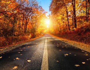 Fototapeta premium Fall background, Autumn Road to Serenity: Golden Sunlight and Fall Foliage