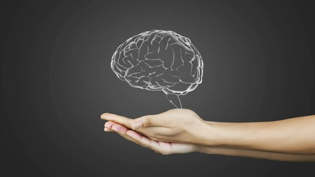 Animation of caucasian woman hands with human brain on grey background