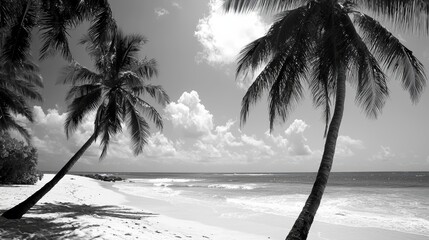 Serene Black and White Palm Trees on a Sandy Beach for Summer Vacation or Relaxation Generative AI