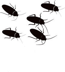 Cocroach bug vector icon, silhouette insect black icon illustration pest