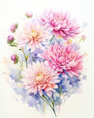 Bouquet of autumn asters watercolor style. Botanical illustration
