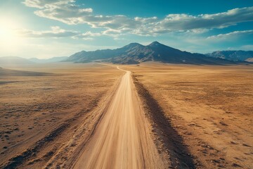 A scenic view of a long dirt road winding through a vast, arid landscape, framed by distant mountains under a bright sky