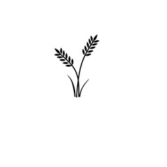 Wheat, barley, rice icon