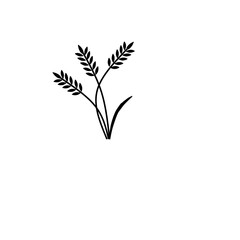 Wheat, barley, rice icon