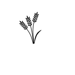 Wheat, barley, rice icon