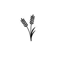 Wheat, barley, rice icon