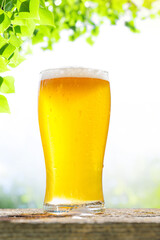 A glass of cold beer placed on a table with a soft outdoor bokeh background
