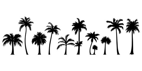 Palm tree silhouettes, a vector illustration isolated on a white background.