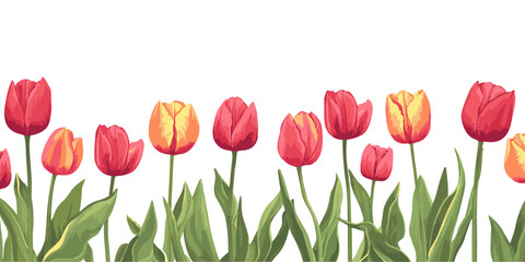 Vector illustration of tulips border with copy space on a white background.