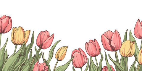 Obraz premium Vector illustration of tulips border with copy space on a white background.