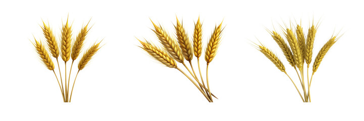 Elegant Isolated 3D Golden Wheat Stalks &ndash; Great for Harvest and Autumn Decor