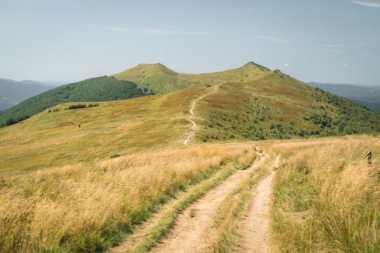 Bieszczady. Na Połoninie Wetlińskiej, widok na Osadzki Wierch,  Smerek i przełęcz Orłowicza