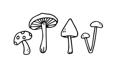 Autumn plants vector sketches. Hand drawn set of mushrooms