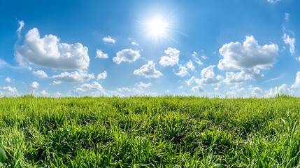 Obraz premium A bright, sunny day over a lush green meadow with a clear blue sky and scattered fluffy white clouds, representing the beauty of nature, serenity, and a peaceful environment.