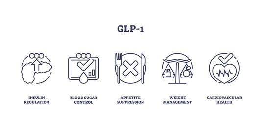 GLP-1 diabetes drugs for insulin regulation outline icons collection, transparent background. Labeled symbols with blood sugar control, appetite suppression and weight management.