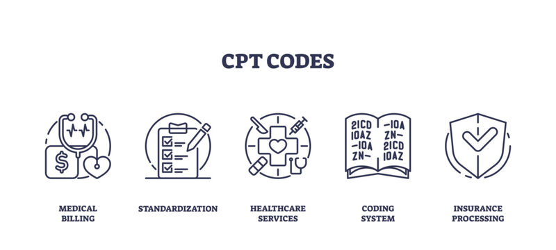 CPT codes for medical coding process standardization outline icons collection, transparent background. Labeled symbols with patient insurance processing.
