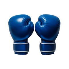 Blue boxing gloves 3D illustration.