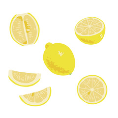 切ったレモンのセット