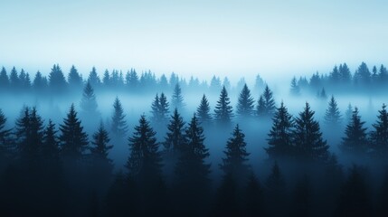Misty Pine Forest Landscape in Blue Tones