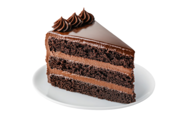 Delicious chocolate cake slice with rich layers and creamy frosting, perfect for dessert lovers and special occasions.
