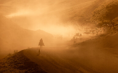 There is a flock of sheep grazing in the dust on the mountain, brown sheep, dust, there is a hazy...