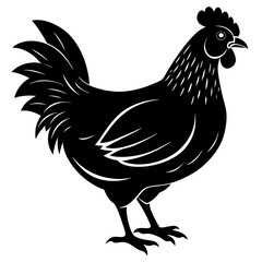 chicken silhouette vector black animal on white background