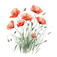 Naklejka premium PNG Small bouquet of Poppies in grass poppy art illustration.