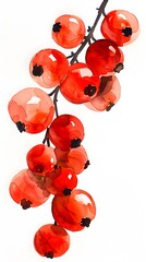 Watercolor Red Berries on Branch - Botanical Illustration