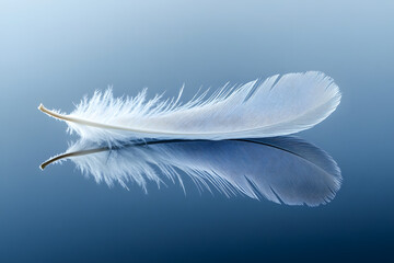 Fototapeta premium White feather floating softly against a blue background