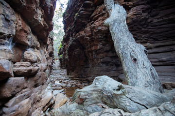 Alligator Gorge, Mount Remarkable National Park, SA, Australia