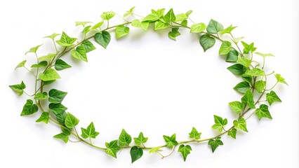 green leaves background, Green leaves frame cut out, Frame of green leaves on background with center space, Tropical green leaves for decoration of art frame wallpaper,card on white background.Generat