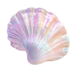 PNG  Simple sea shell illustration seashell art.