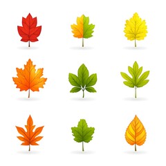 Obraz premium Set of icon autumn leaves on a white background. Vector illustration.