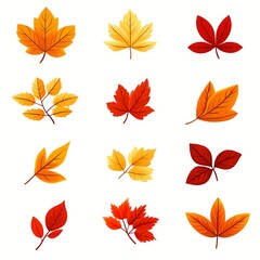 Obraz premium Set of icon autumn leaves on a white background. Vector illustration.