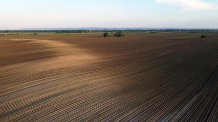 Obraz premium plowed field in spring in Vojvodina, drone photography