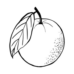 An orange simple sketch drawing, vector illustration, black line on a white background