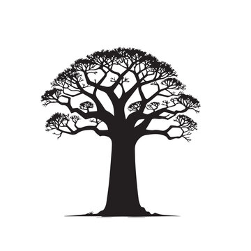 African baobab tree vector design. African baobab tree silhouette isolated on white background.