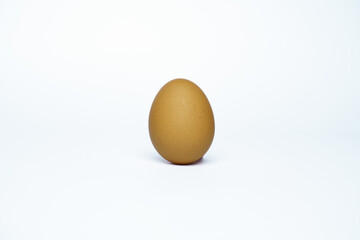 A single brown egg isolated on a white background