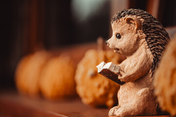 hedgehog figurine, smart hedgehog, reading hedgehog © TomaszGwóźdźFoto